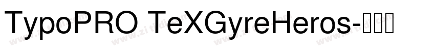 TypoPRO TeXGyreHeros字体转换